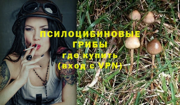 спайс Алексин