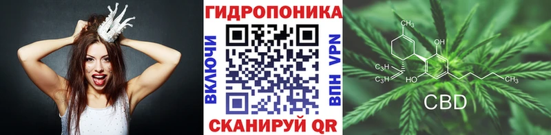 закладка  Лодейное Поле  OMG маркетплейс  Бошки марихуана AK-47 